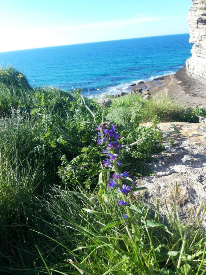 La Torruca Βίλα Orena Εξωτερικό φωτογραφία