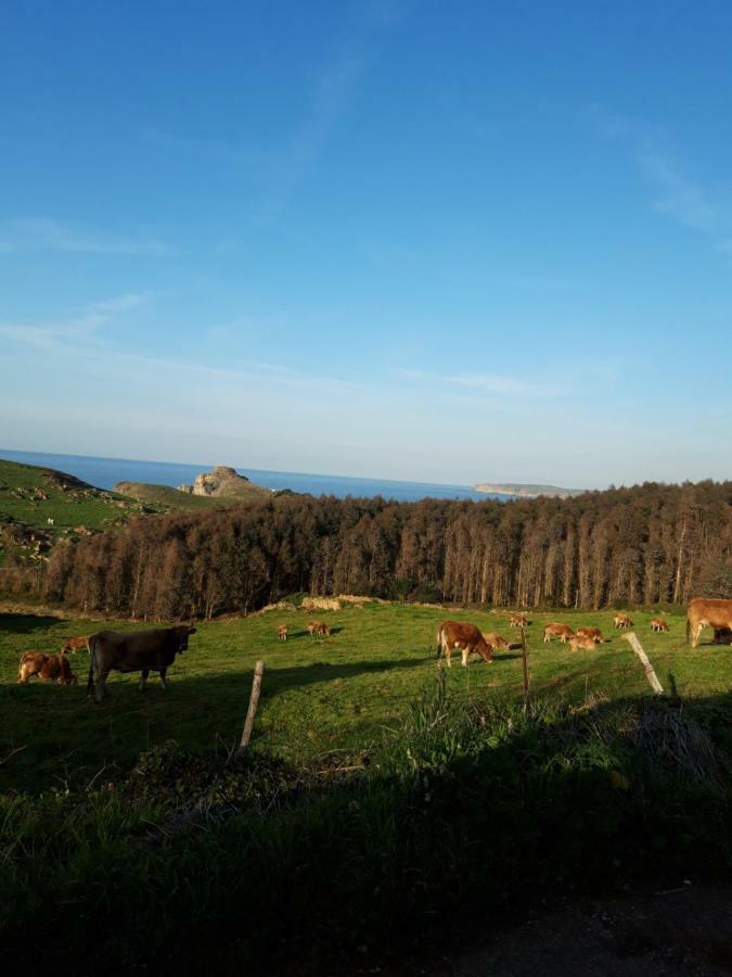 La Torruca Βίλα Orena Εξωτερικό φωτογραφία